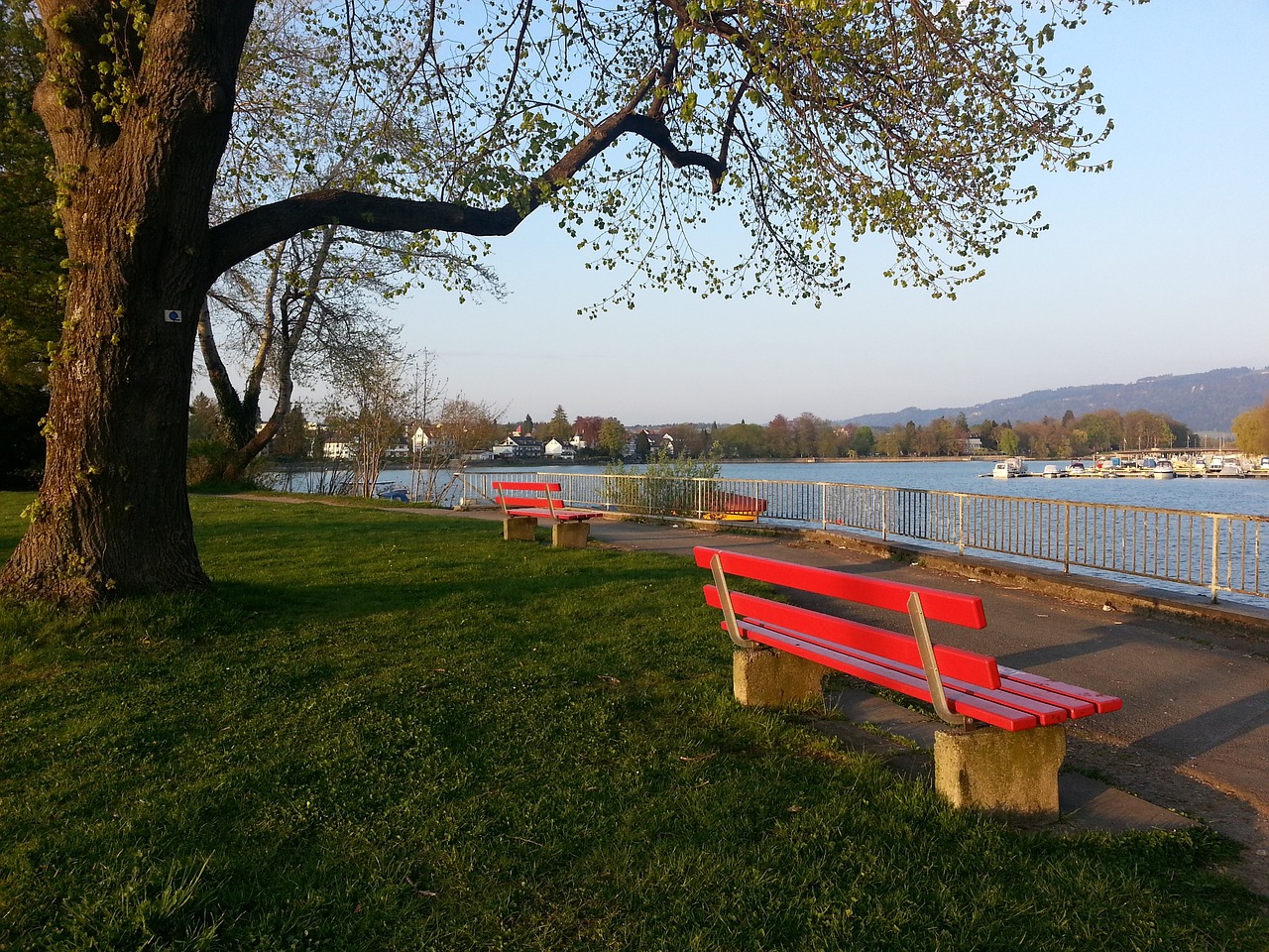 国成为了社 国成为了社