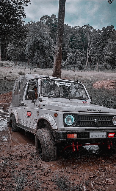 往往能有效 往往能有效