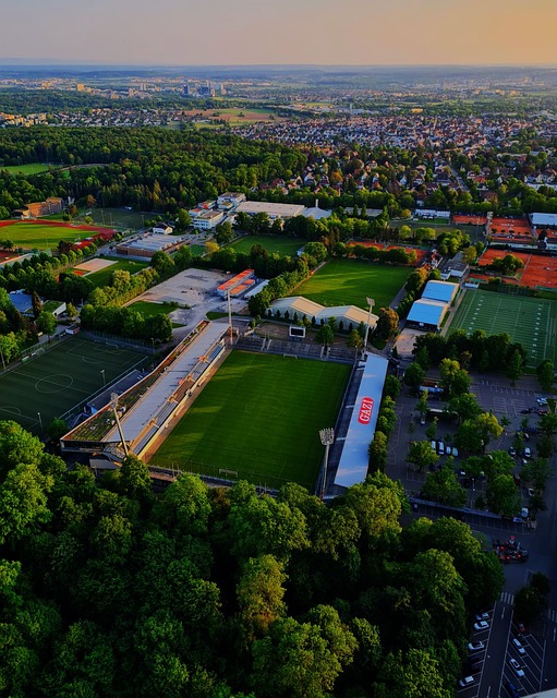 拼搏书写的 拼搏书写的