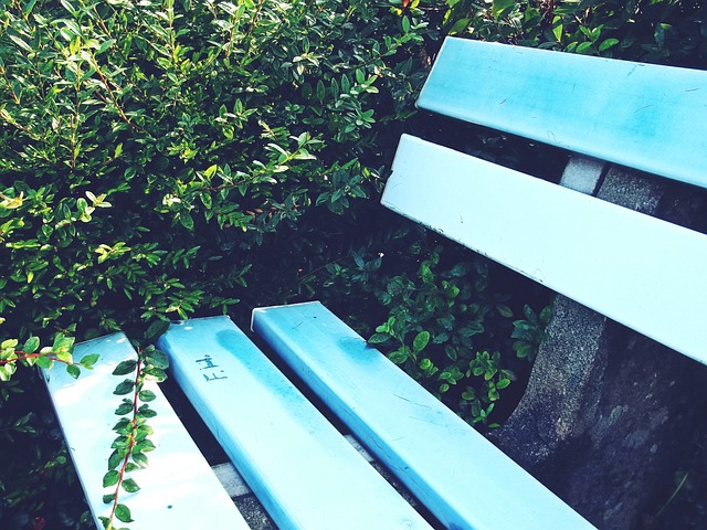 投资人坚定 投资人坚定